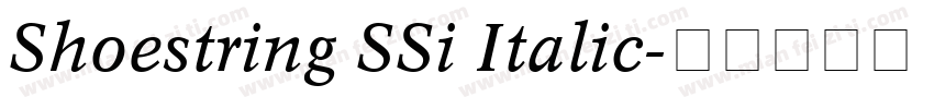 Shoestring SSi Italic字体转换